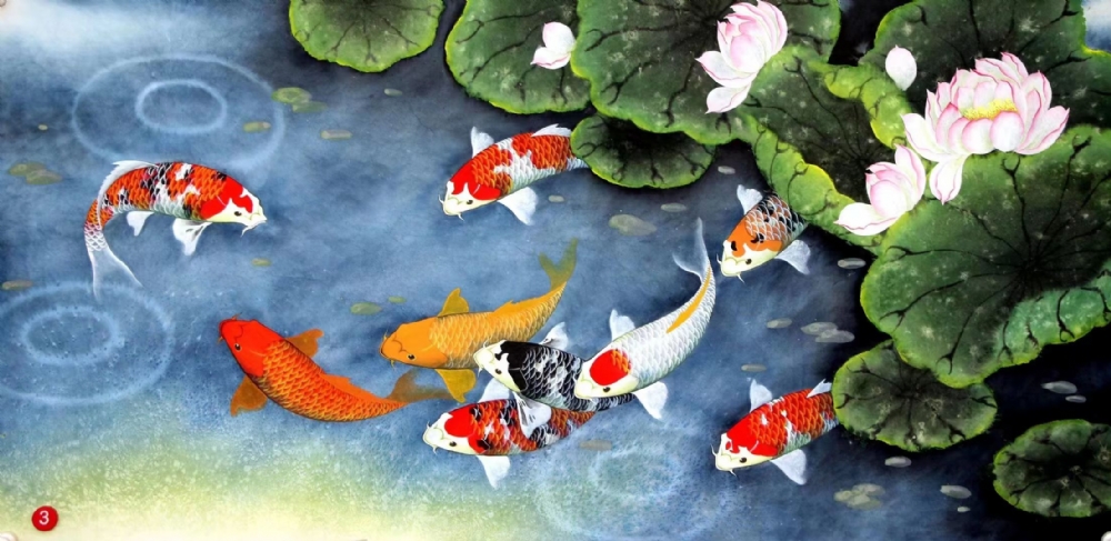 锦鳞游泳